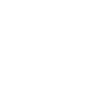 Transversalité